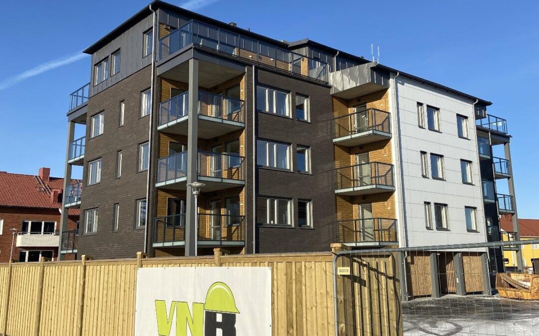 Backsvalan